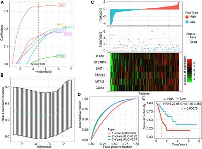 A Prognostic Model of Pancreatic Cancer Based on Ferroptosis-Related Genes to Determine Its Immune Landscape and Underlying Mechanisms